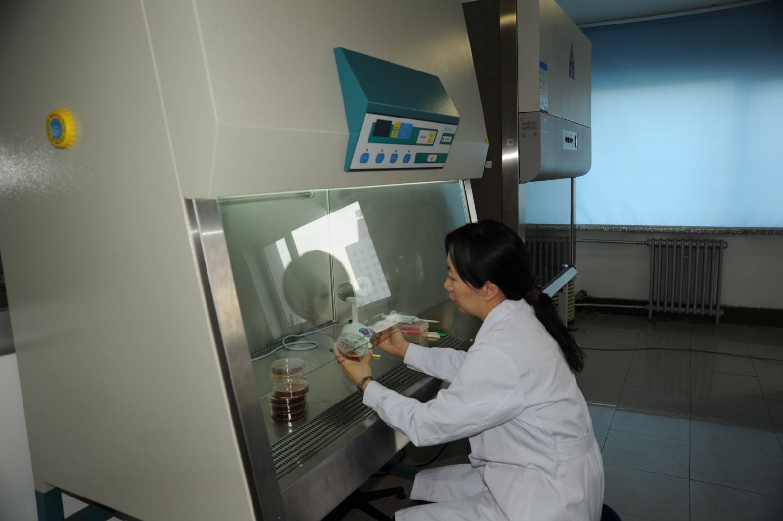 微生物無菌實(shí)驗(yàn)室建設(shè)要點(diǎn) 微生物無菌實(shí)驗(yàn)室建設(shè)要點(diǎn)